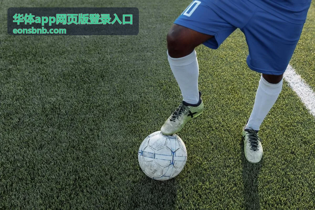 华体app网页版登录入口退出登录与设备管理示意